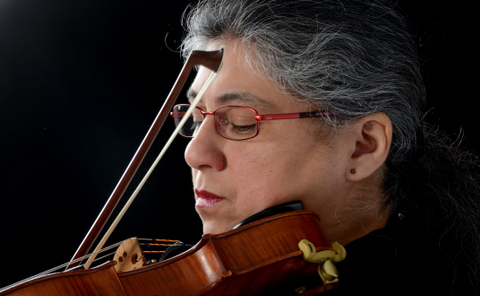 Violín